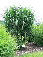 100_7981.jpg