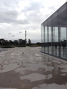 DSCF5585.jpg