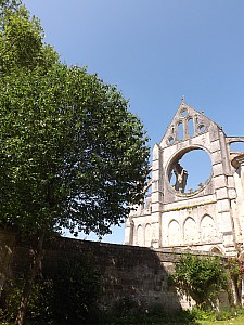 DSCF7278.jpg