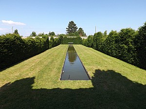 DSCF7332.jpg