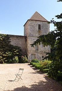 DSCF7336.jpg