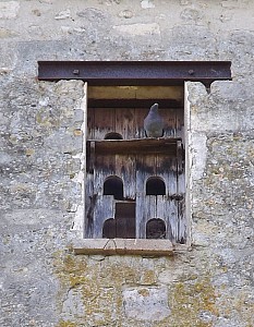 DSCF7337.jpg