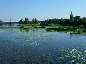 Thumbnail of ete2010 793.jpg