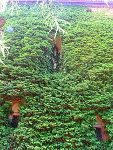 Thumbnail of ete2010 821.jpg