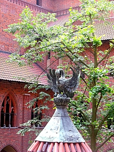 Thumbnail of ete2010 846.jpg