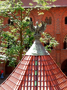 Thumbnail of ete2010 894.jpg