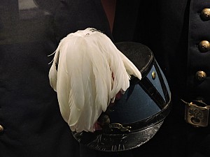 2015_01_meaux 065.jpg