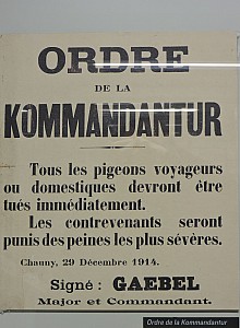 2015_01_meaux 089.jpg