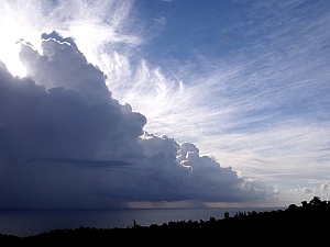 Thumbnail of 102.jpg