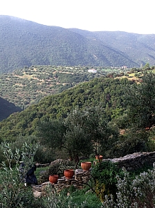 Thumbnail of 103.jpg