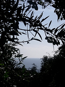 Thumbnail of 210.jpg