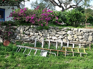 Thumbnail of 401.jpg