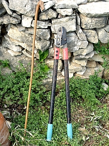 Thumbnail of 402.jpg