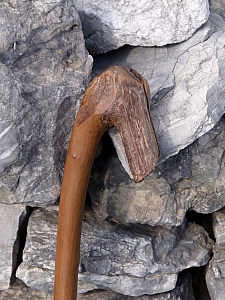 Thumbnail of 403.jpg