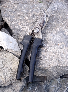 Thumbnail of 404.jpg