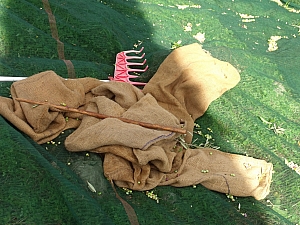 Thumbnail of 405.jpg