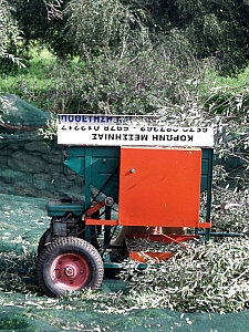 Thumbnail of 406.jpg