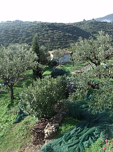 Thumbnail of 501.jpg