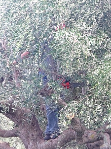 Thumbnail of 601.jpg