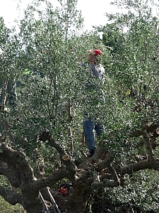 Thumbnail of 602.jpg