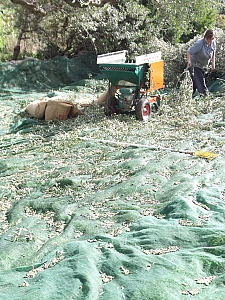 Thumbnail of 620.jpg