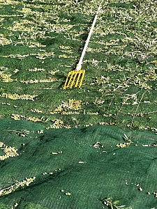 Thumbnail of 630.jpg