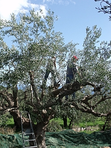 Thumbnail of 701.jpg