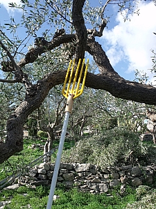 Thumbnail of 703.jpg