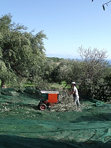 Thumbnail of 710.jpg