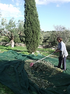 Thumbnail of 750.jpg