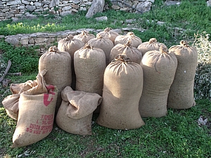 Thumbnail of 790.jpg