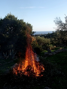 Thumbnail of 801.jpg