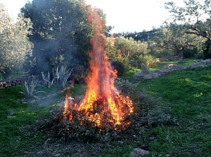 Thumbnail of 802.jpg