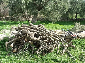 Thumbnail of 803.jpg