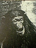 urss_2_252.jpg
