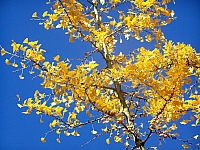 100_2369.jpg