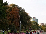 HPIM1624.JPG