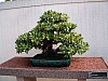 HPIM0912.JPG