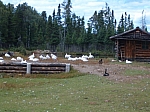 HPIM0712.JPG
