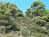 chalcidique-66.JPG chalcidique-66.JPG