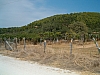 chalcidique-78.JPG chalcidique-78.JPG