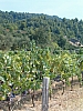 chalcidique-79.JPG chalcidique-79.JPG