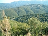 chalcidique-83.JPG chalcidique-83.JPG