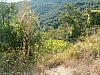 chalcidique-86.JPG chalcidique-86.JPG