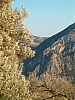 delphes-110.JPG delphes-110.JPG