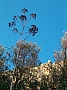 delphes-112.JPG delphes-112.JPG