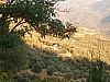 delphes-116.JPG delphes-116.JPG