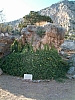 delphes-88.JPG delphes-88.JPG