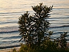 grece centrale-24.JPG grece centrale-24.JPG