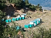 grece centrale-33.JPG grece centrale-33.JPG